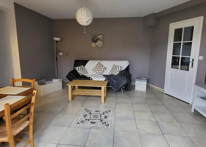 Maison De Plein Pied Avec Jardin Privatif Centre Ville
